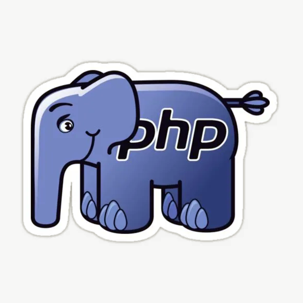 PHP programmirleme dili